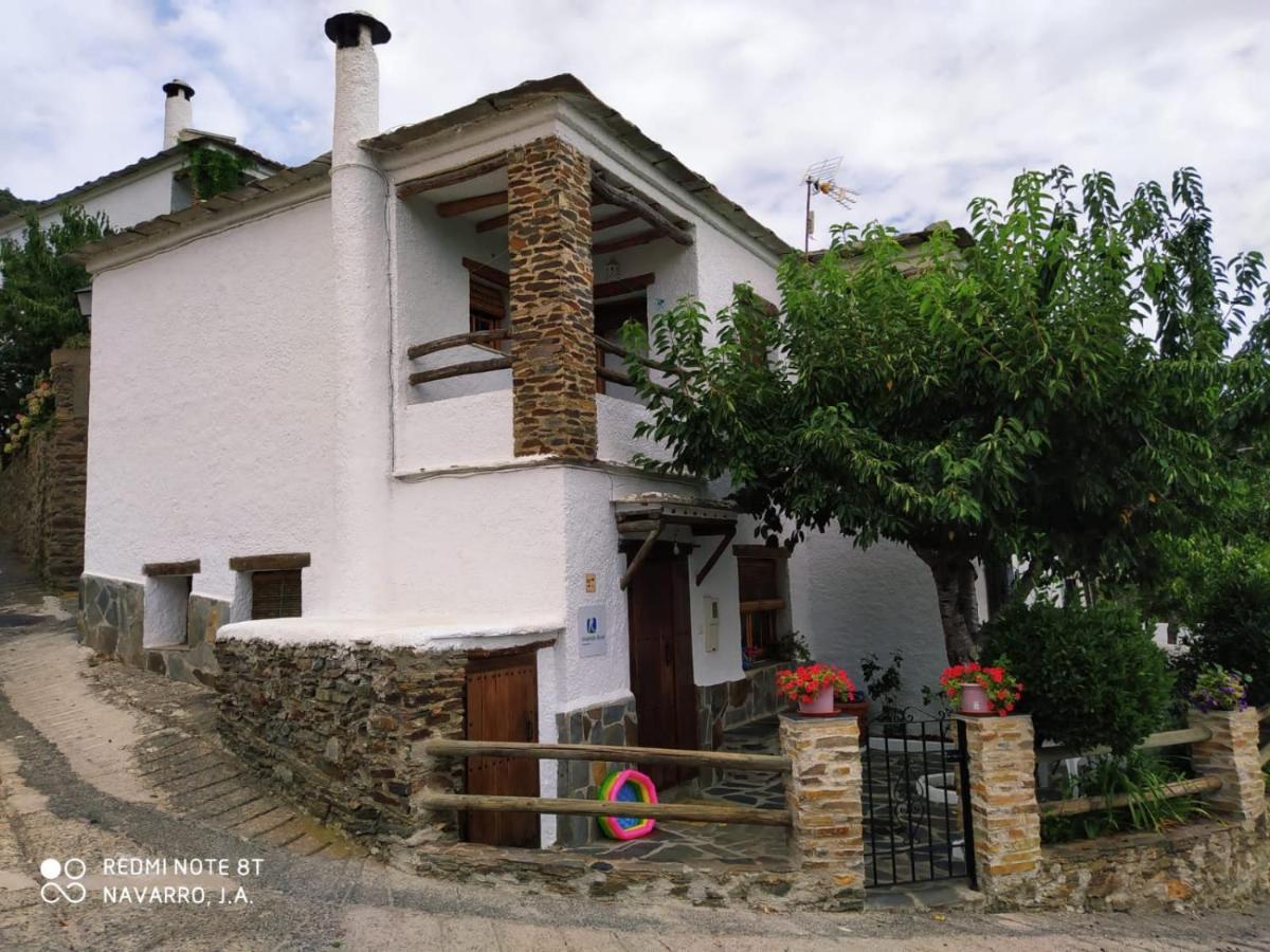 Casa Alpujarrena Fina Numero 27 부비온 외부 사진
