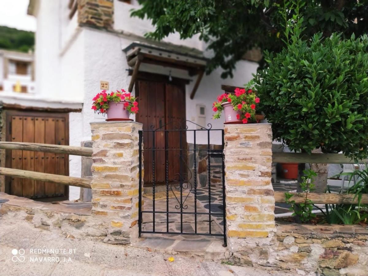 Casa Alpujarrena Fina Numero 27 부비온 외부 사진