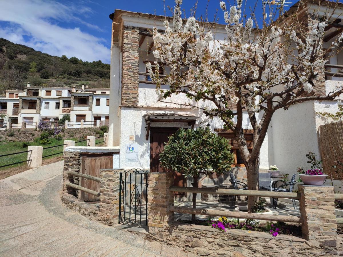 Casa Alpujarrena Fina Numero 27 부비온 외부 사진