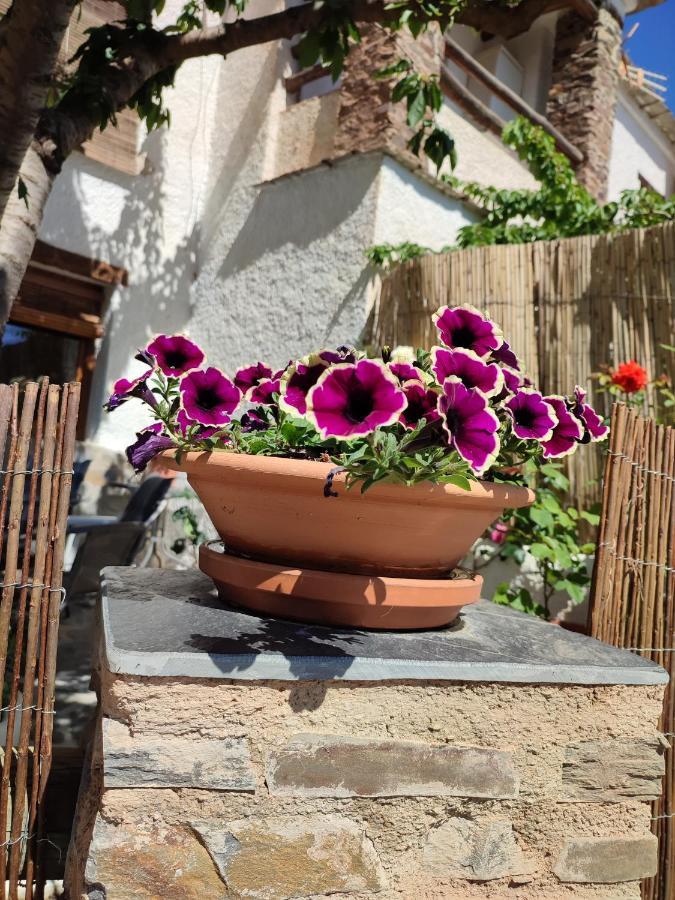 Casa Alpujarrena Fina Numero 27 부비온 외부 사진